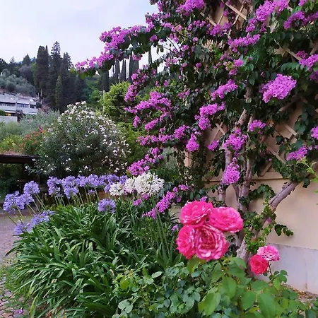 Hostal Delle Cartiere *