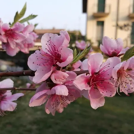 Delle Cartiere Ostello