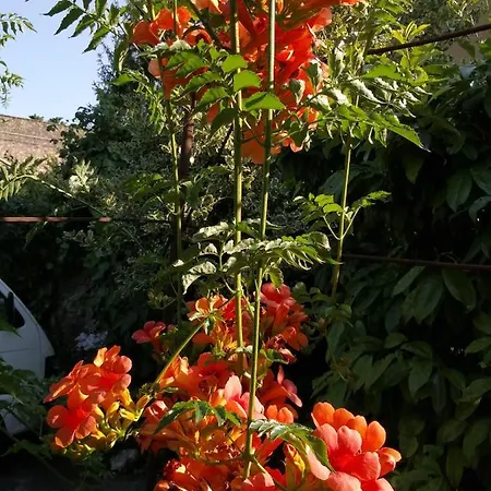 Delle Cartiere